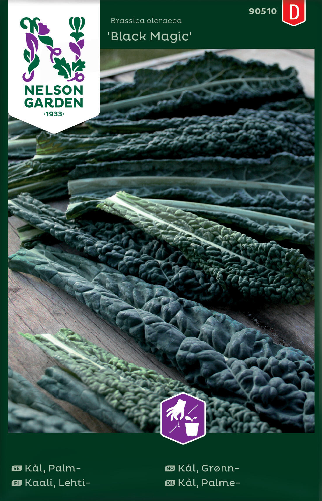 Grønnkål 'Black Magic'